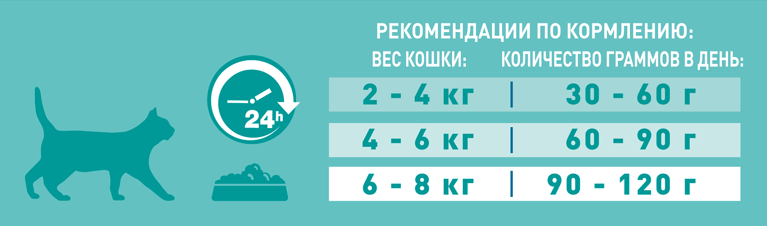 Сухой корм Purina ONE для кошек с чувствительным пищеварением с индейкой и рисом, пакет, 750 г