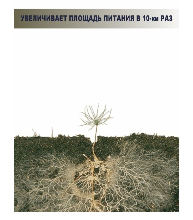 Удобрение «Кормилица Микориза», для корней, универсальная, 1 л