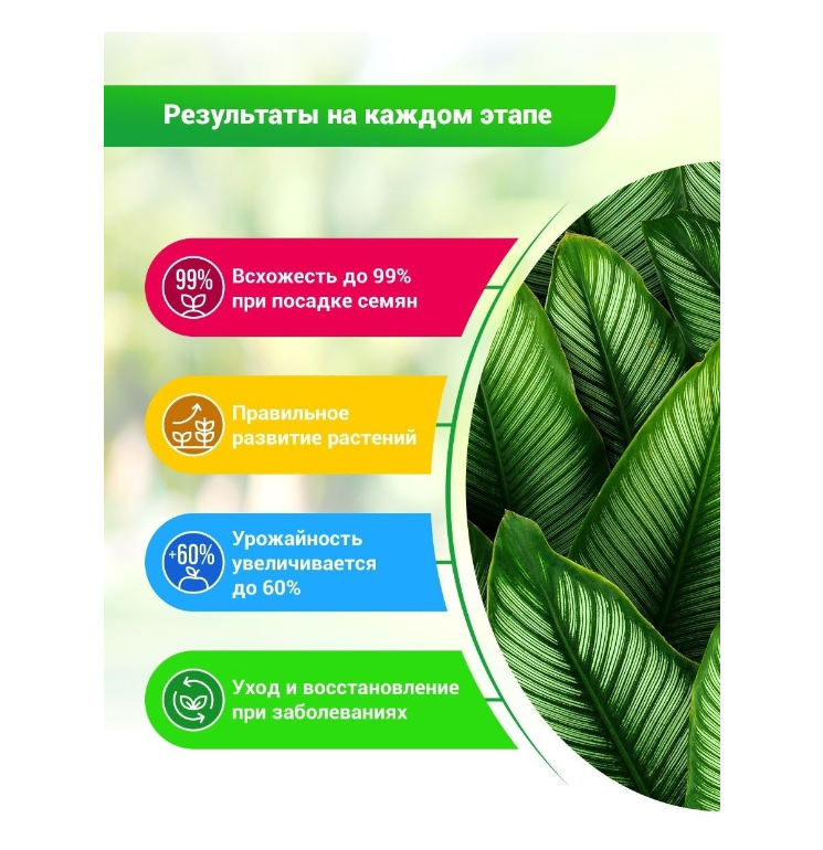 Суспензия хлореллы «БИО-комплекс», 1 л