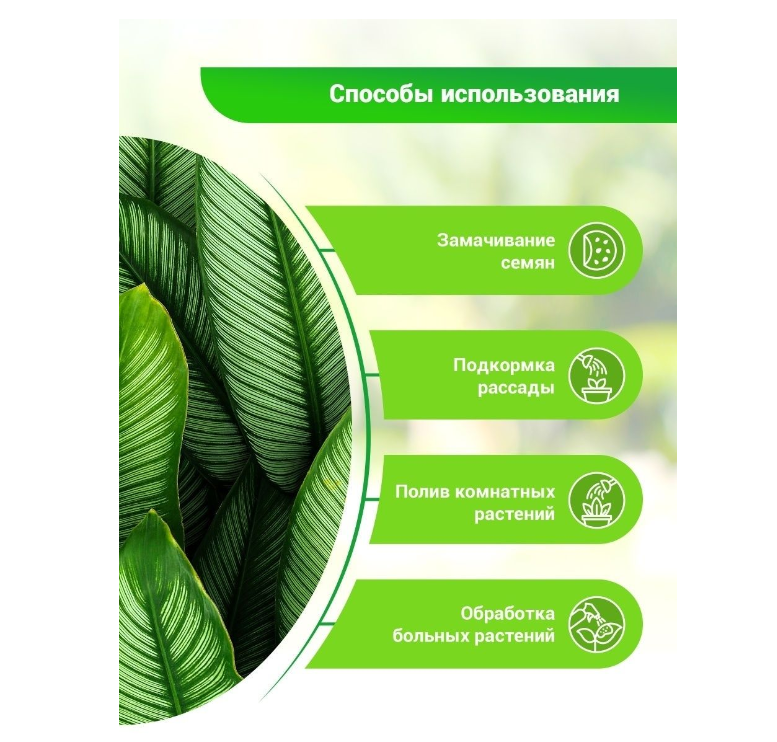 Суспензия хлореллы «БИО-комплекс», 2 упаковки по 1 л