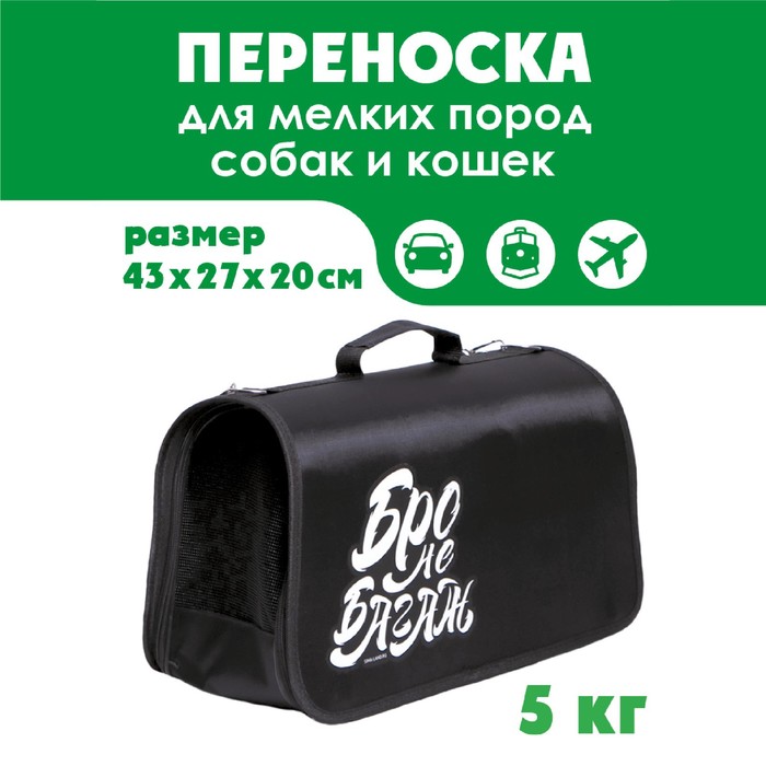 Сумка - переноска раскладная "Бро не багаж" 43х27х20 см