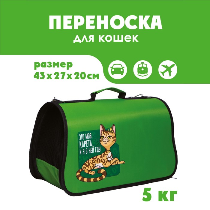 Сумка - переноска раскладная "Это моя карета" 43х27х20 см