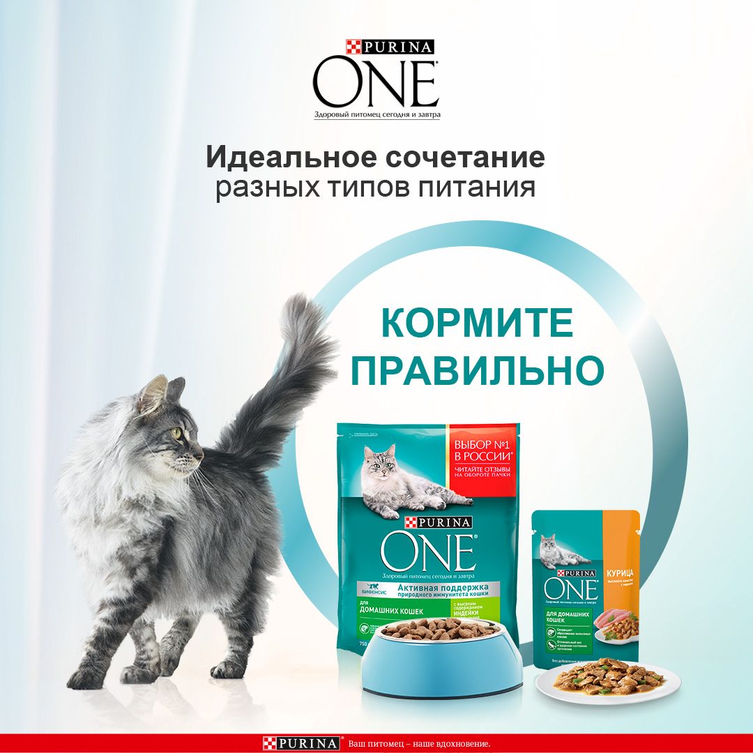 Сухой корм Purina ONE для домашних кошек с индейкой и цельными злаками, пакет, 750 г