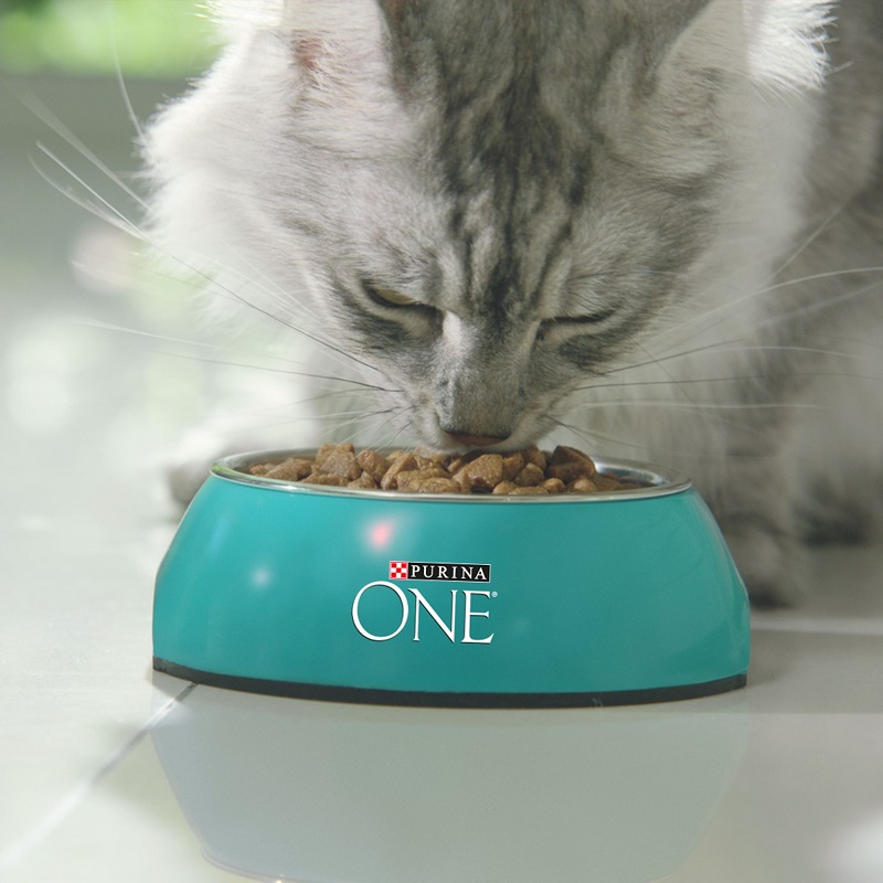 Сухой корм Purina ONE для домашних кошек с индейкой и цельными злаками, пакет, 3 кг
