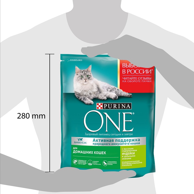 Сухой корм Purina ONE для домашних кошек с индейкой и цельными злаками, пакет, 750 г