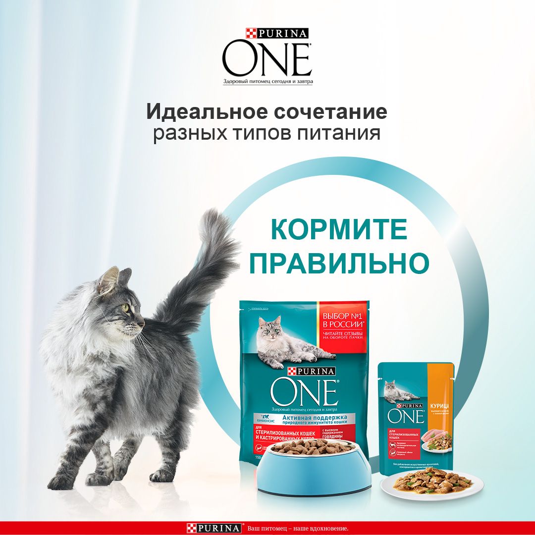 Сухой корм Purina ONE для стерилизованных кошек и котов с говядиной и пшеницей, пакет, 750 г