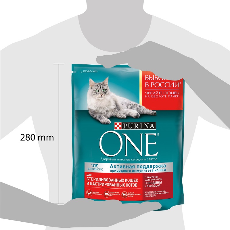 Сухой корм Purina ONE для стерилизованных кошек и котов с говядиной и пшеницей, пакет, 750 г