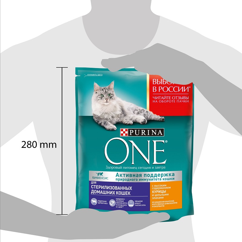 Сухой корм Purina ONE для домашних стерилизованных кошек и котов, пакет, 750 г