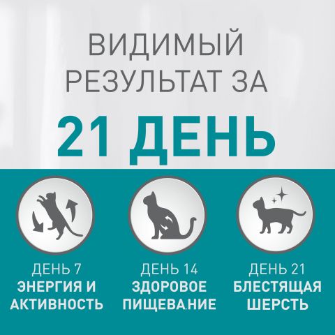 Сухой корм Purina ONE для стерилизованных кошек и кастрированных котов, живущих в домашних условиях, с высоким содержанием курицы и цельными злаками, пакет, 1,5 кг