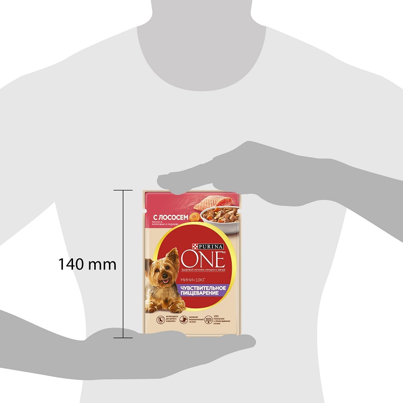 Влажный корм Purina ONE Мини Чувствительное пищеварение для взрослых собак мелких пород с чувствительным пищеварением, с лососем, рисом и морковью в подливе, пауч, 26х85 г