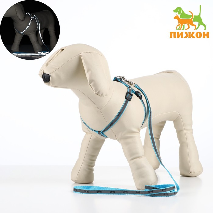 Комплект светоотражающий «Косточки», 120 см, голубой