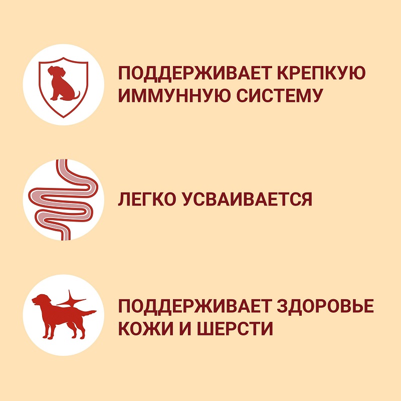 Влажный корм Purina ONE МИНИ Активная для взрослых собак мелких пород с активным образом жизни, с уткой, пастой и зеленой фасолью в подливе, пауч, 26х85 г