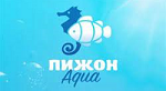 Пижон Аква