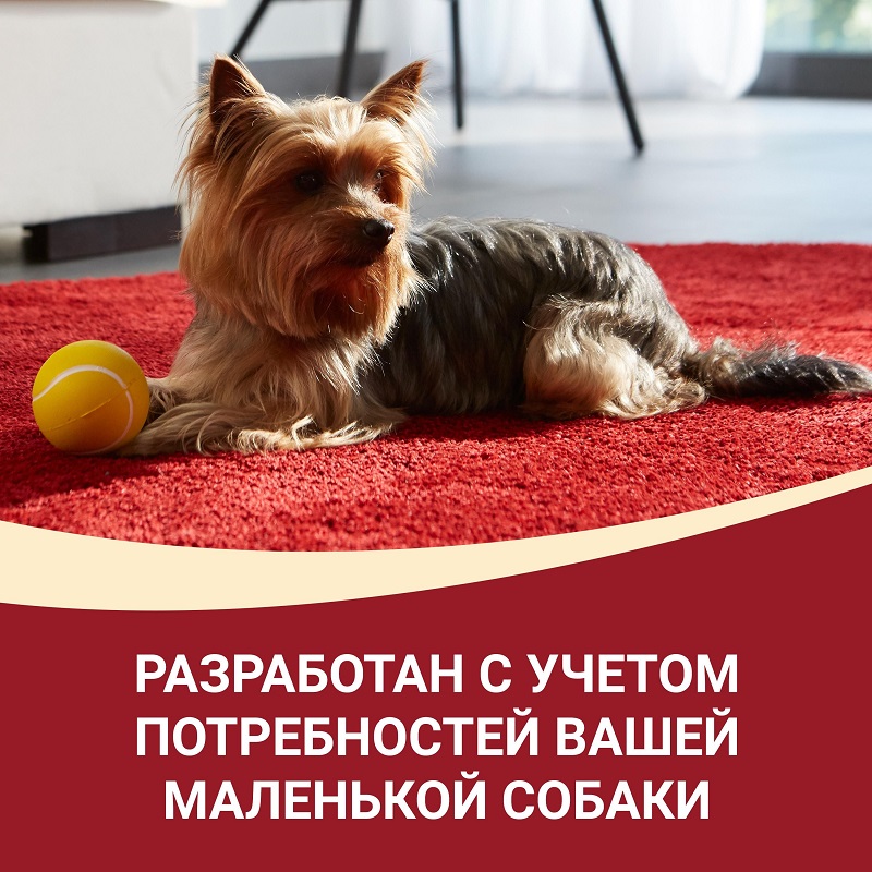 Влажный корм Purina ONE МИНИ Активная для взрослых собак мелких пород с активным образом жизни, с уткой, пастой и зеленой фасолью в подливе, пауч, 26х85 г