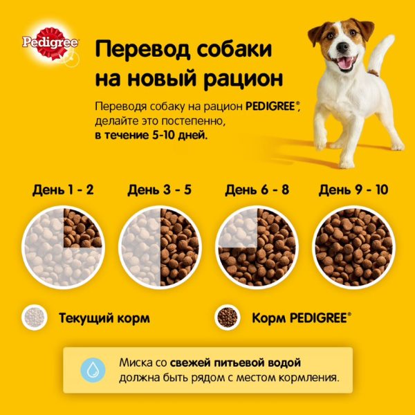 Сухой корм PEDIGREE для собак миниатюрных пород, с говядиной, 1.2 кг