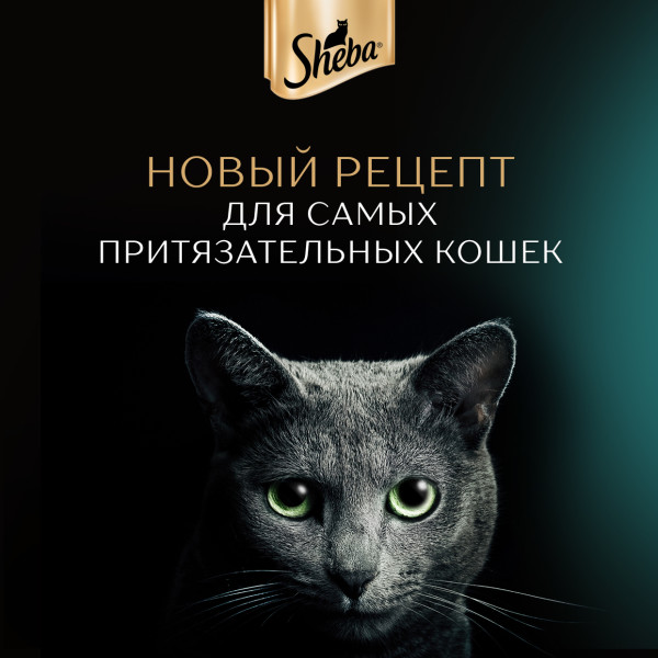 Влажный корм для кошек Sheba Ломтики в соусе с телятиной и языком, 75 г