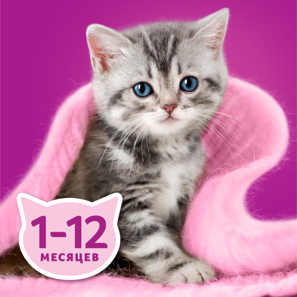 Влажный полнорационный корм WHISKAS для котят от 1 до 12 месяцев, паштет с курицей, 75 г