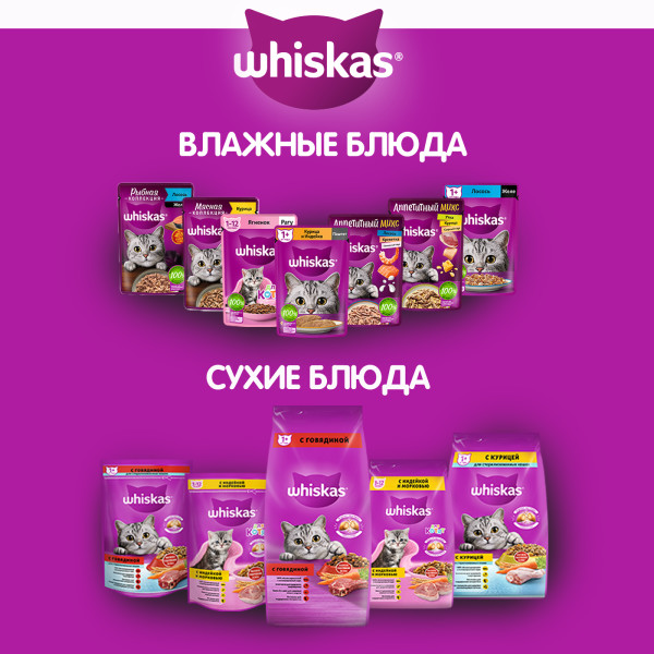 Влажный полнорационный корм WHISKAS для взрослых кошек, желе с курицей и индейкой, 75 г