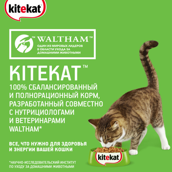 Влажный полнорационный корм KITEKAT для взрослых кошек со вкусом ягнёнка в соусе «Лакомый ягнёнок», 85 г