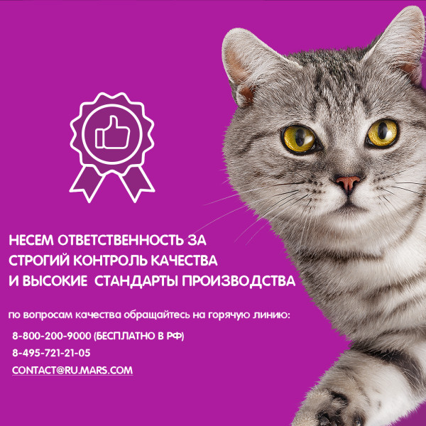 Влажный корм WHISKAS для котят от 1 до 12 месяцев, рагу с ягненком, 75 г