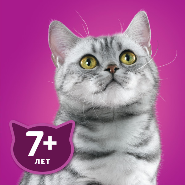 Влажный корм WHISKAS для кошек старше 7 лет, рагу с курицей, 75 г