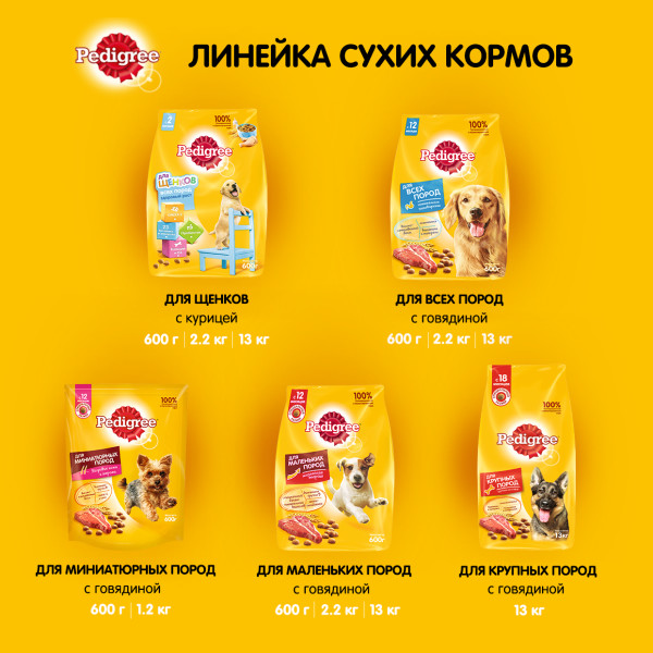 Сухой корм PEDIGREE для собак маленьких пород, с говядиной, 13 кг