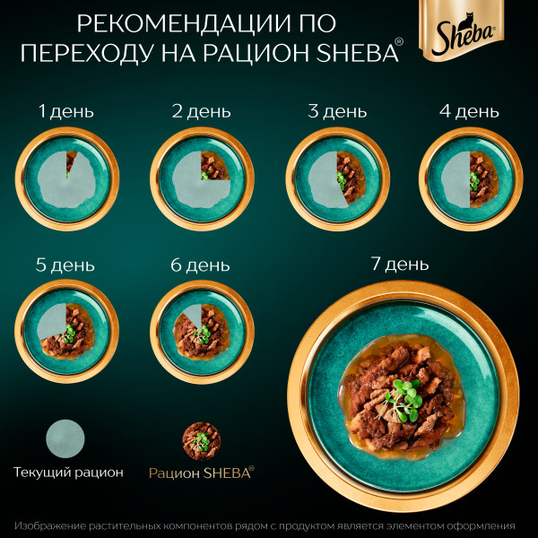 Влажный корм для кошек Sheba Ломтики в соусе с форелью и креветками, 75 г