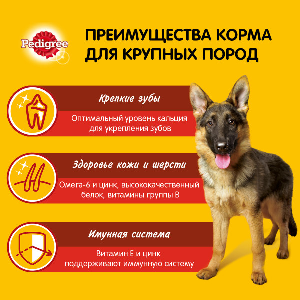 Сухой корм PEDIGREE для собак крупных пород, с говядиной, 13 кг