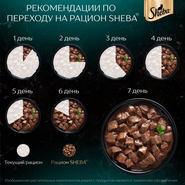 Влажный корм для кошек SHEBA CRAFT COLLECTION «Рубленые кусочки. Говядина в соусе», 75 г