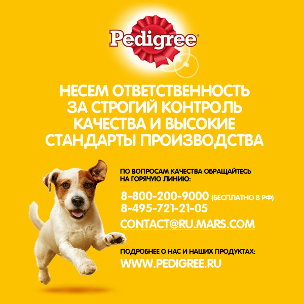 Сухой корм PEDIGREE для собак миниатюрных пород, с говядиной, 600 г