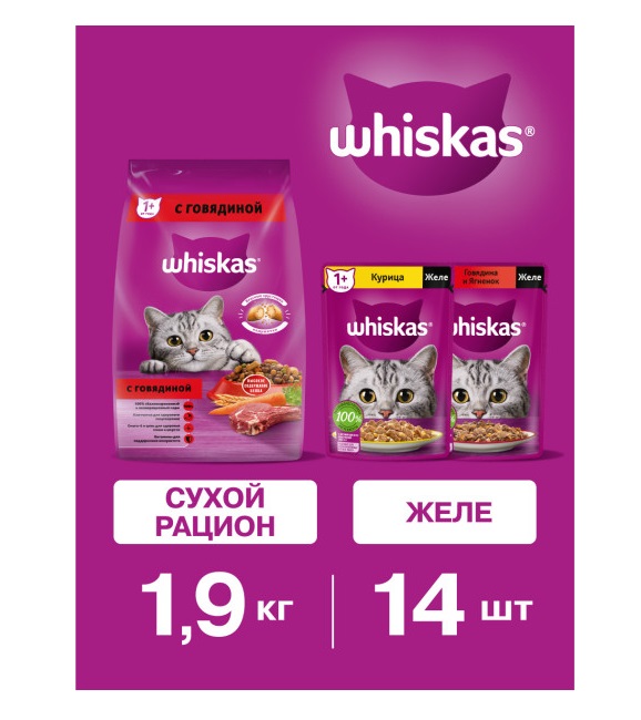Набор кормов для кошек, WHISKAS, сухой рацион 1,9кг и влажные консервированные рационы, два вкуса, желе, 14шт х 75г