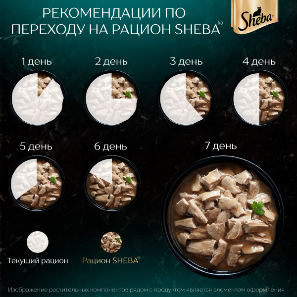 Влажный корм для кошек SHEBA CRAFT COLLECTION «Сочные слайсы. Курица в соусе», 75 г