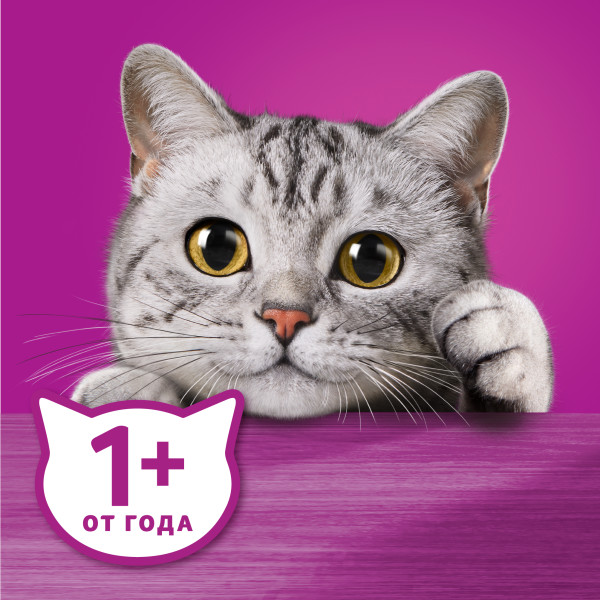 Влажный полнорационный корм WHISKAS «Аппетитный микс» для взрослых кошек, с говядиной, языком и овощами в желе, 75 г
