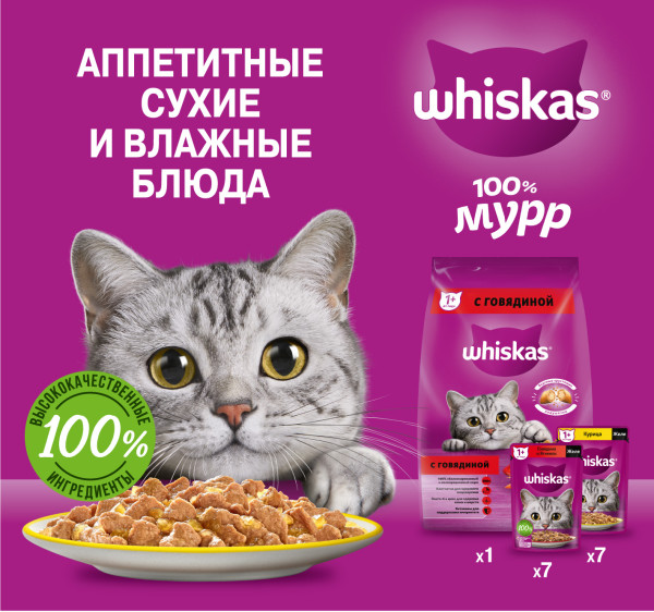 Набор кормов для кошек, WHISKAS, сухой рацион 1,9кг и влажные консервированные рационы, два вкуса, желе, 14шт х 75г