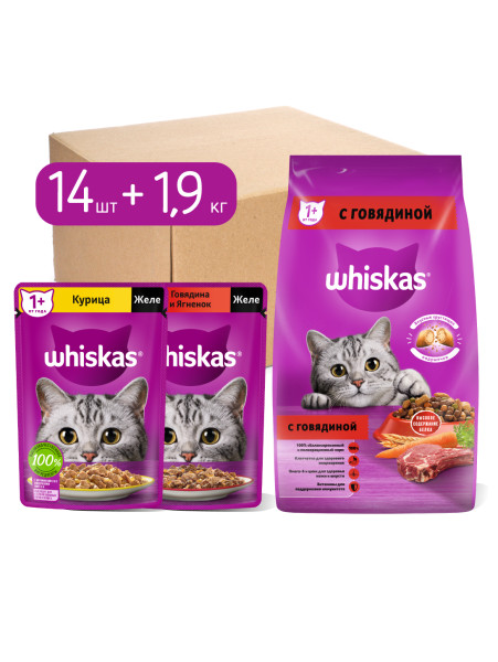 Набор кормов для кошек, WHISKAS, сухой рацион 1,9кг и влажные консервированные рационы, два вкуса, желе, 14шт х 75г