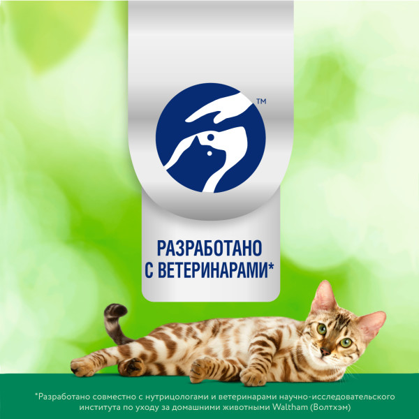 Влажный корм Perfect Fit Immunity для иммунитета кошек, с индейкой в желе и спирулиной 75 г
