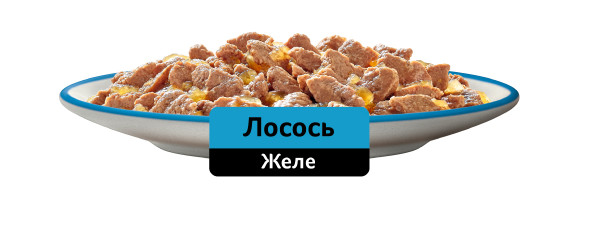 Влажный полнорационный корм WHISKAS для взрослых кошек, желе с лососем, 75 г