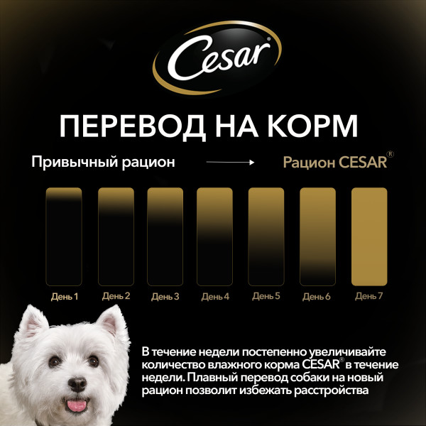 Влажный корм Cesar для взрослых собак, жаркое с уткой в желе, 85 г