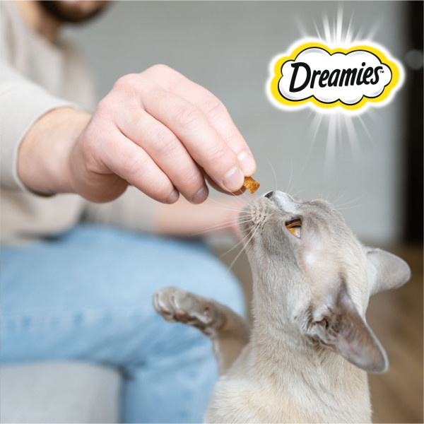 Лакомство для кошек Dreamies подушечки с сыром, 140 г