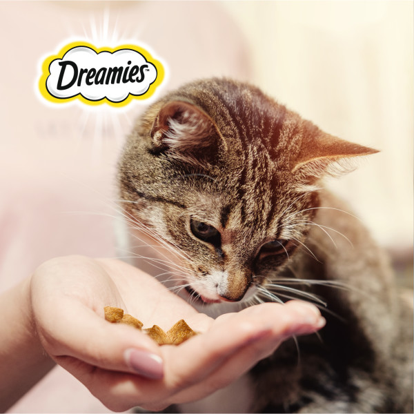 Лакомство для кошек Dreamies подушечки с говядиной, 30 г