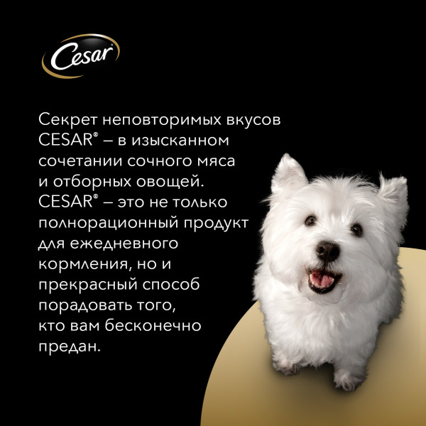 Влажный корм Cesar для взрослых собак, жаркое с уткой в желе, 85 г