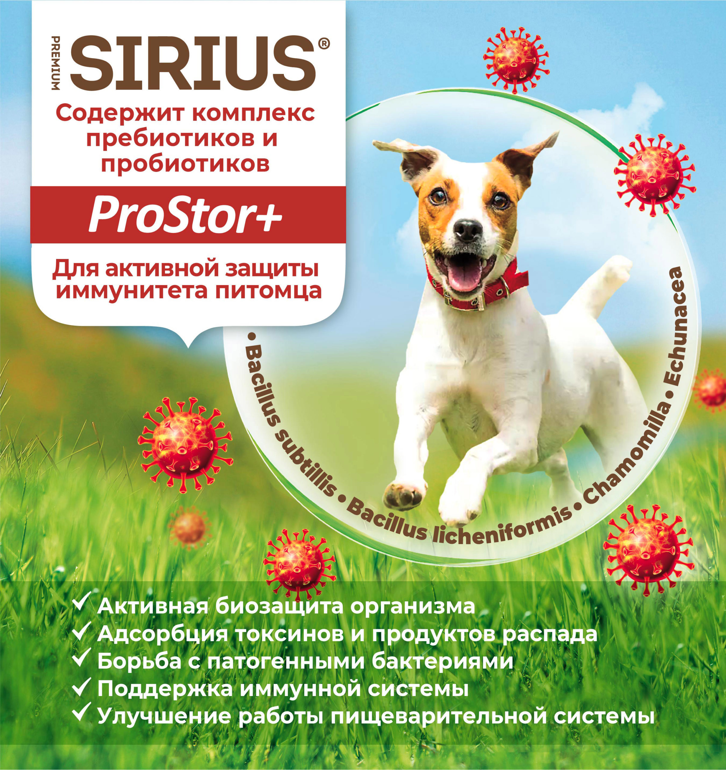 Корм SIRIUS для взрослых собак малых пород, индейка и рис, 2 кг