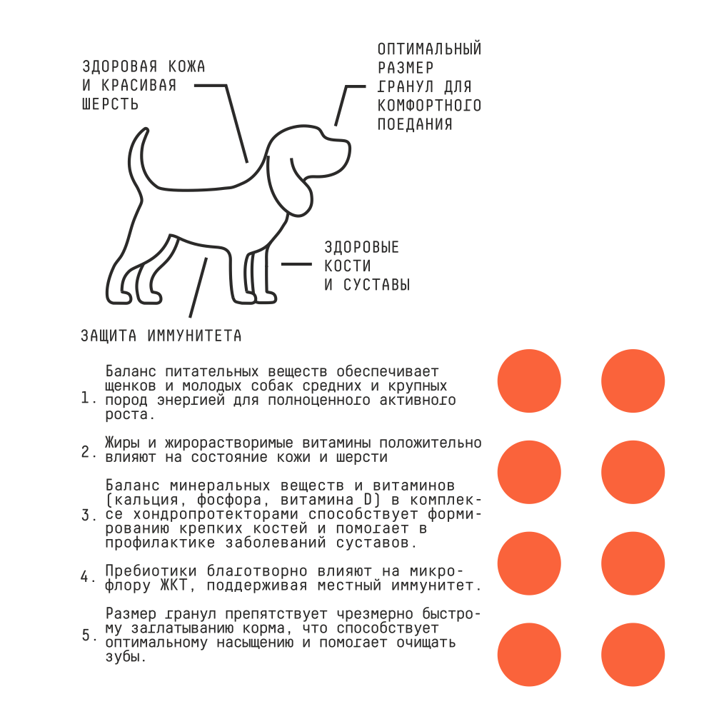 Сухой корм для щенков и молодых собак средних и крупных пород AJO Dog Puppy&Junior с индейкой и гречкой, 12 кг